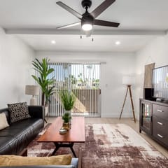 Camelback 260