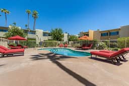 Camelback 446 - Image 2