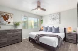 Camelback 367 - Image 2