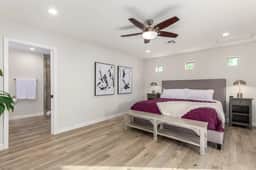 Larkspur - Image 4