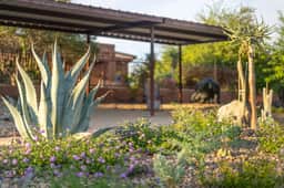 Desert Vista Off-Road Experience|E-Dirt Bikes|Pool - Image 4