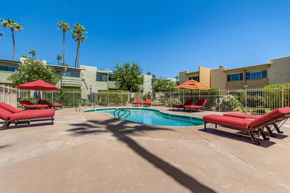 Camelback 446 - Image 2