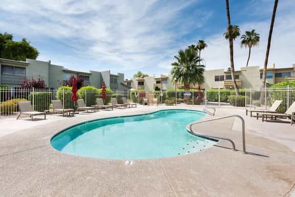 Camelback 260 - Image 2