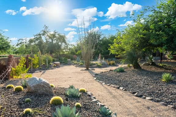 Desert Vista - Image 4